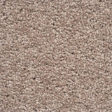 Moods of Monet II Rug Sample