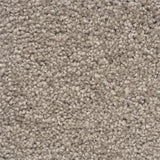 Moods of Monet II Rug Sample