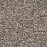 Moods of Monet II Rug Sample