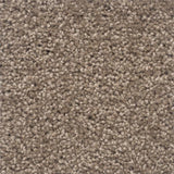 Moods of Monet II Rug Sample